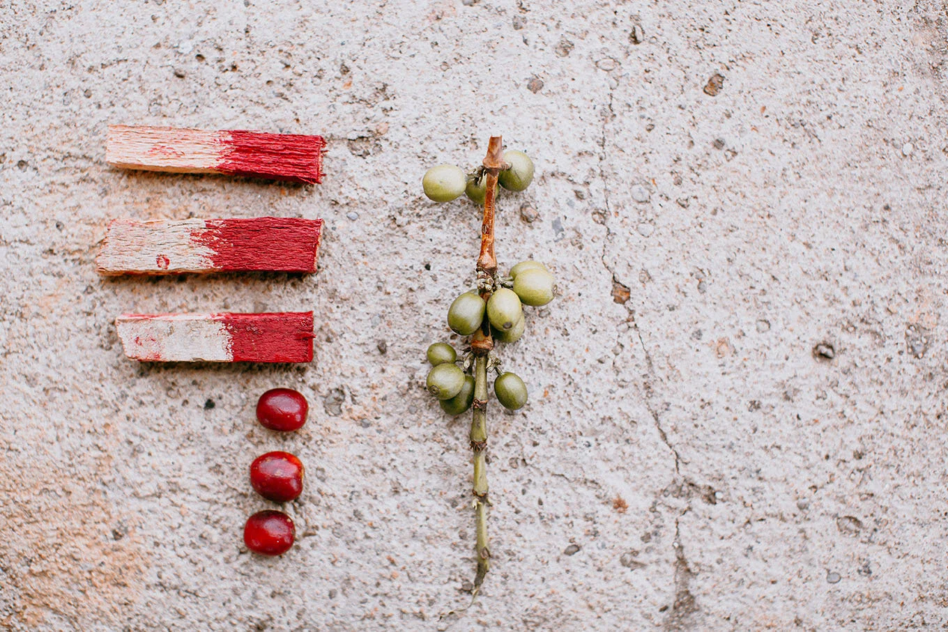How Long Miles ensures quality, from farm to cup — ROEST